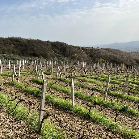 Pajenga Farm Private * Elbasan